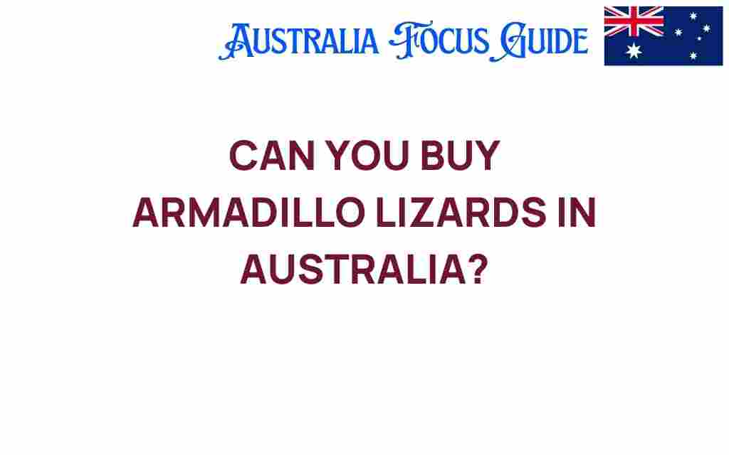 buy-armadillo-lizards-australia