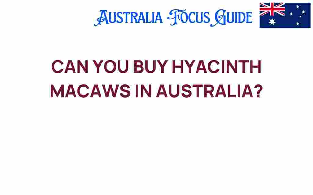 buy-hyacinth-macaws-australia