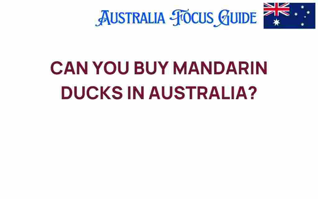 can-you-buy-mandarin-ducks-australia