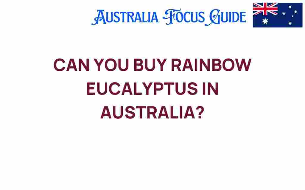 can-you-buy-rainbow-eucalyptus-in-australia