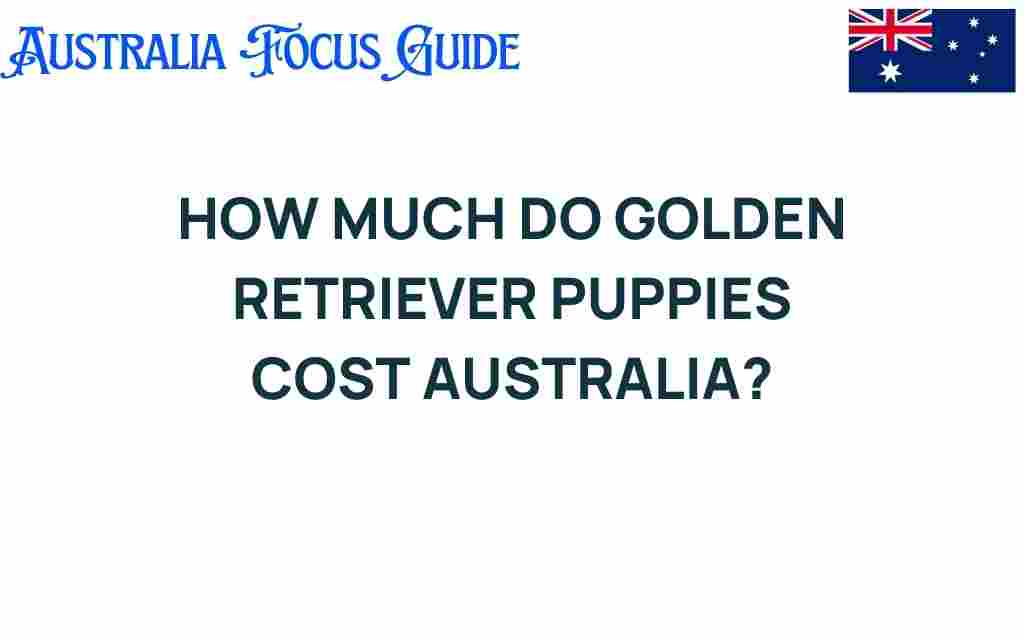 golden-retriever-puppies-cost-australia