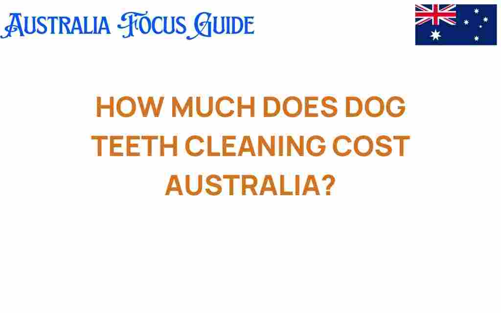 dog-teeth-cleaning-cost-australia