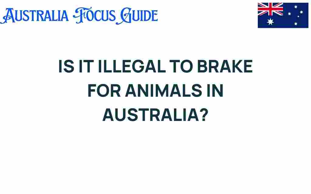 is-it-illegal-to-brake-for-animals-in-australia