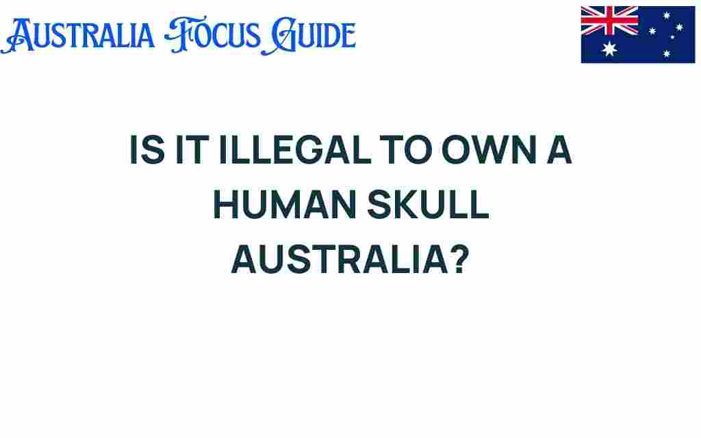 is-it-illegal-to-own-a-human-skull-australia