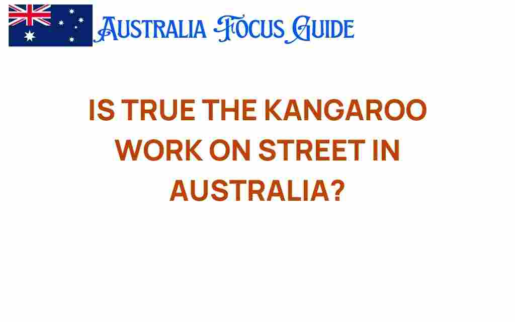 kangaroo-work-on-streets-australia
